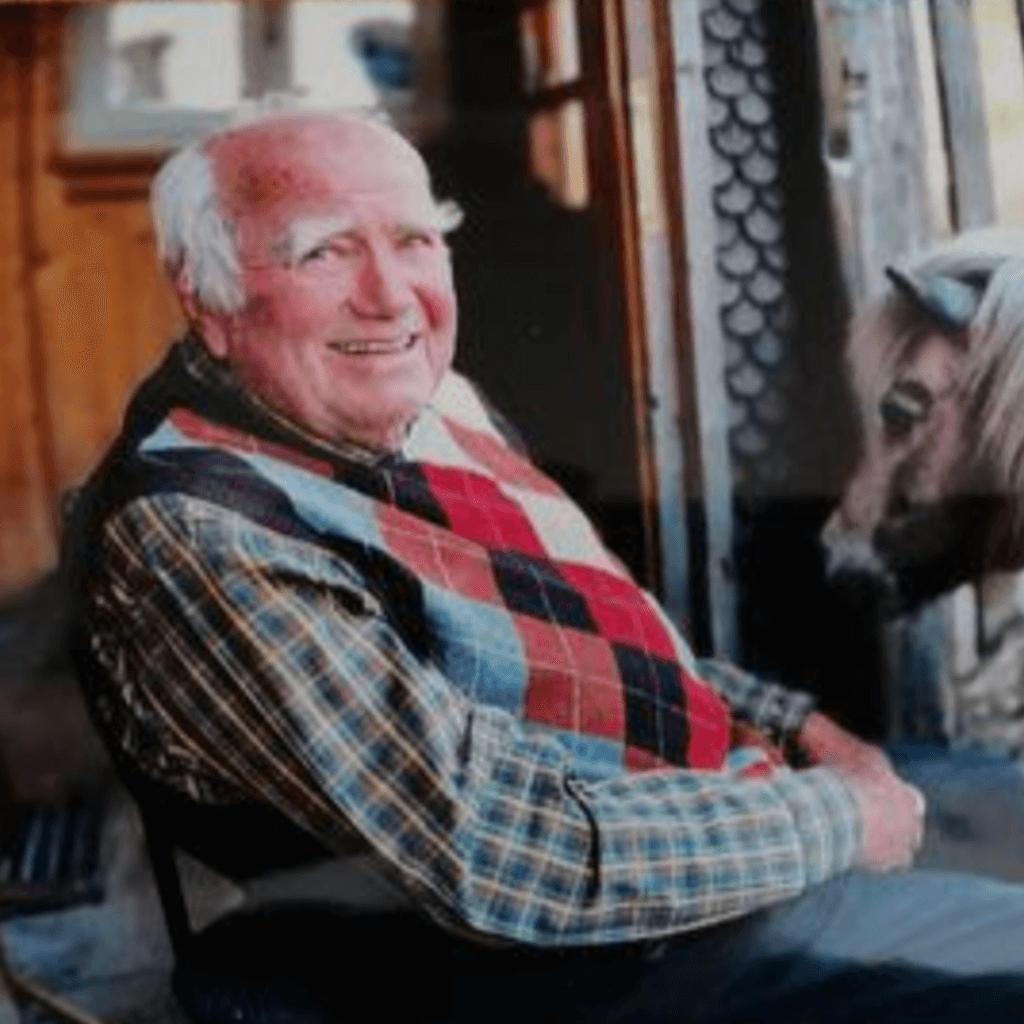 vergleich-mimis-wine-a-gogo-logodesign